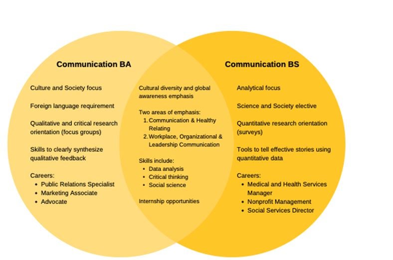 Online Communication Minor